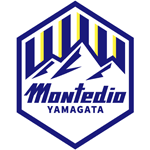 山形山神